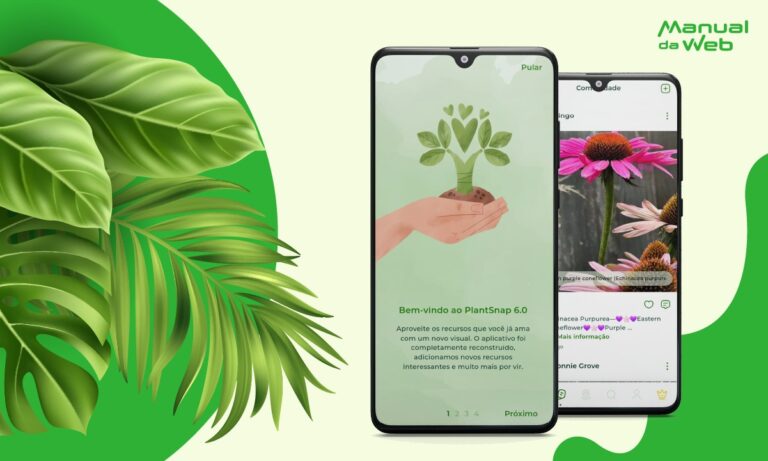 Aprenda Como Identificar Plantas pelo Celular com o PlantSnap 2023