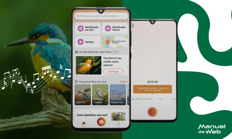 Aves cantoras reveladas identificador de canto de passaros Prancheta 1