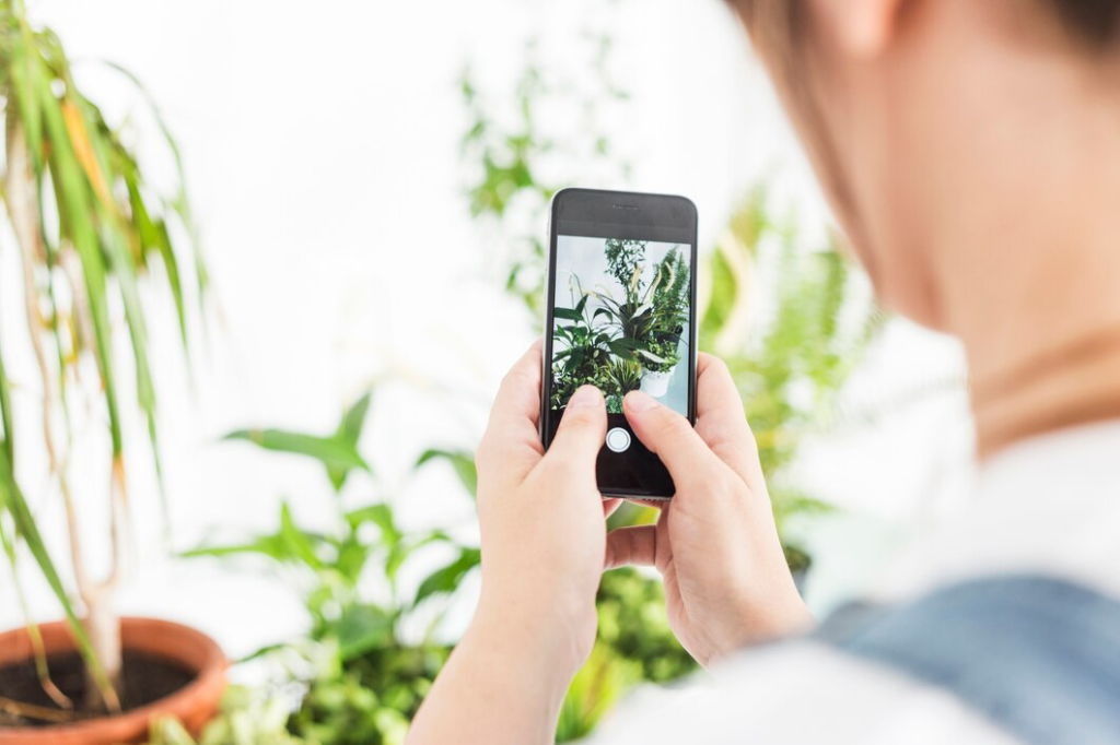 Identificar plantas por foto grátis