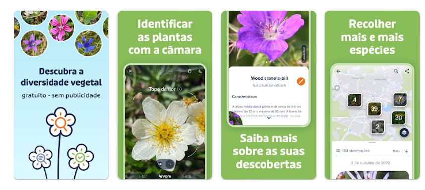 Nome de plantas