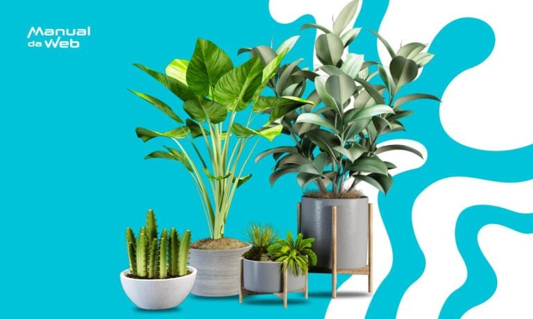 Plantas para apartamento