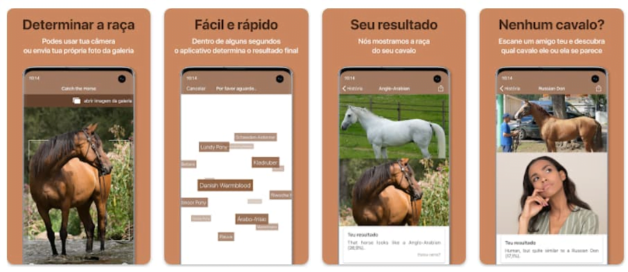 Aplicativo para identificar raça de cavalo