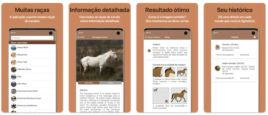 Aplicativo para identificar raça de cavalo