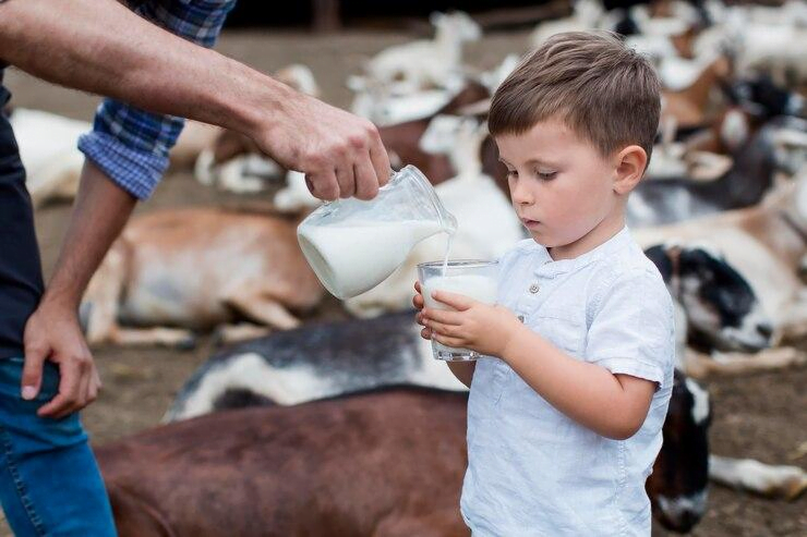 Cursos para produtores de leite