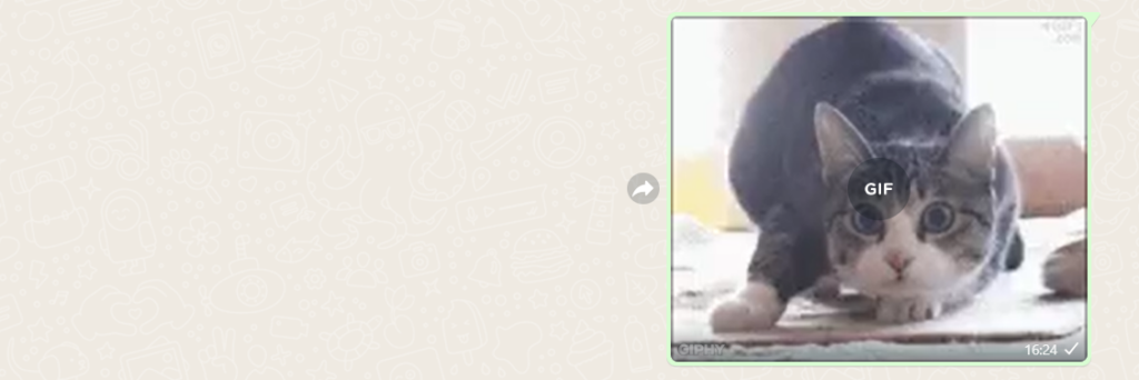 GIFs animados WhatsApp