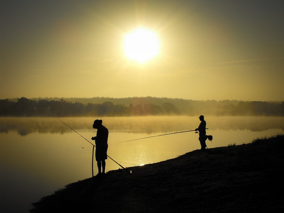 Sonar para pesca