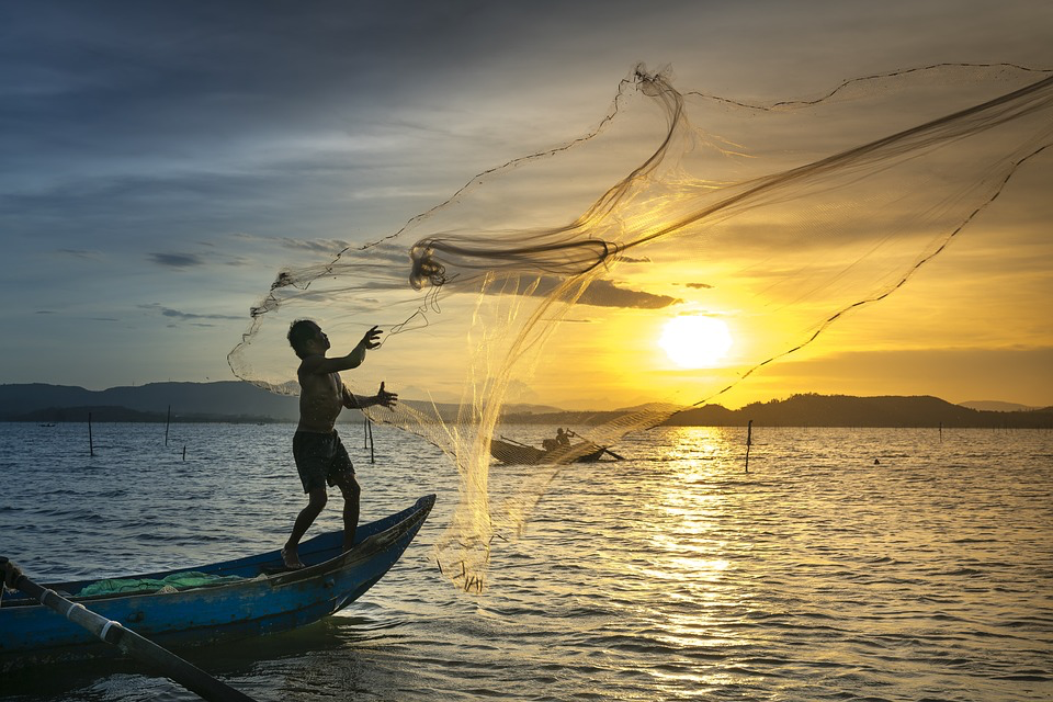 Sonar para pesca