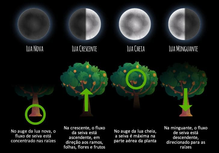 Aplicativo de calendário lunar