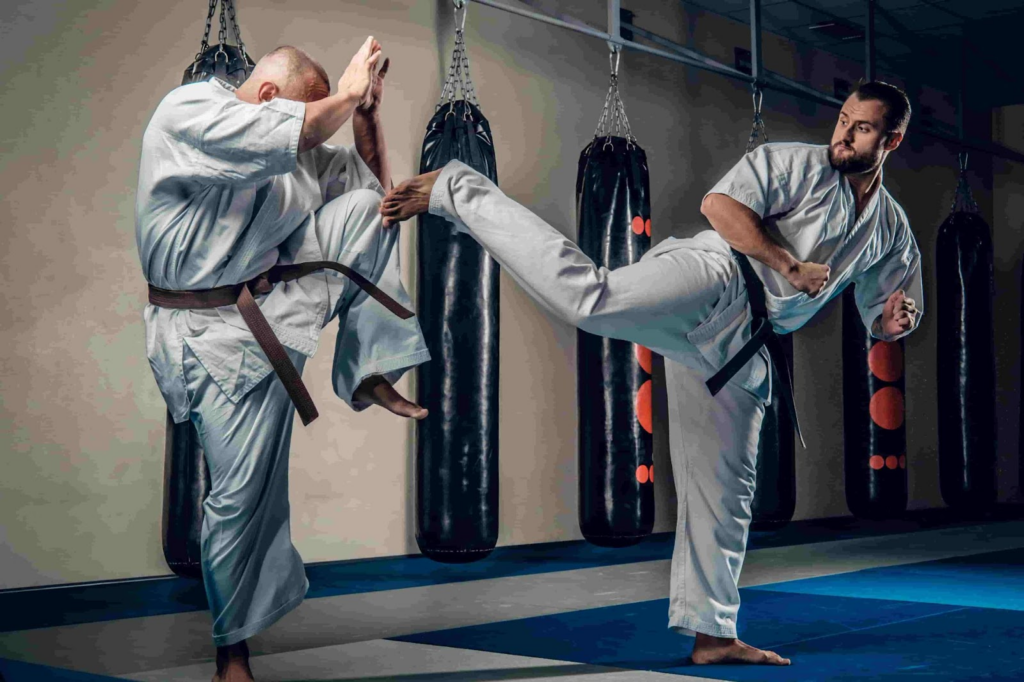 Exercícios de artes marciais