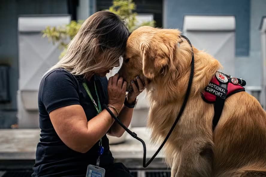 Cachorro de apoio emocional