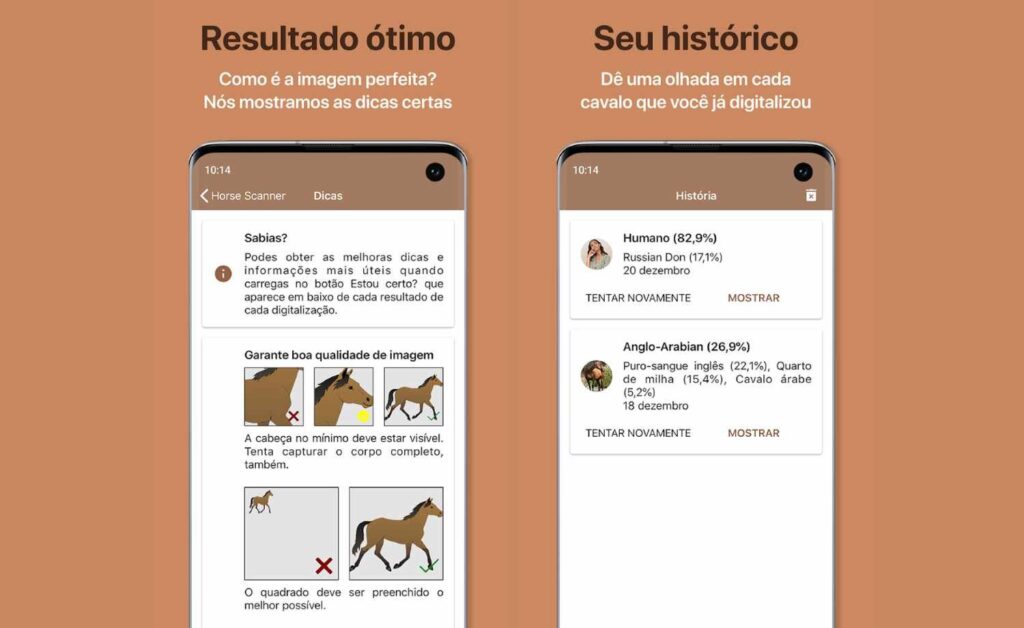 Raça do cavalo