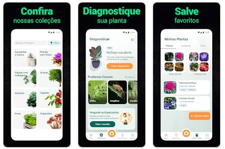 Identificar plantas por fotos grátis