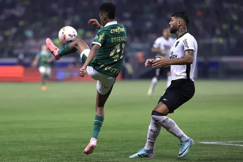 Palmeiras x Botafogo hoje