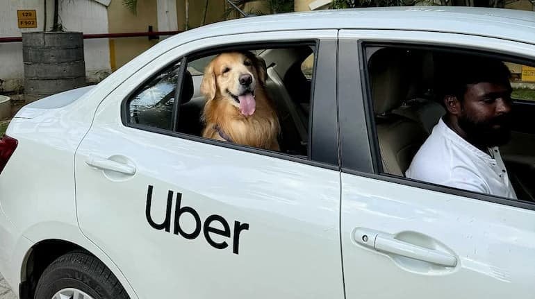 Uber Pet