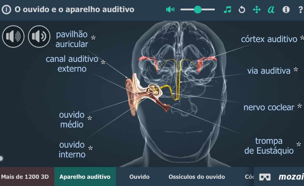 Estudar o aparelho auditivo