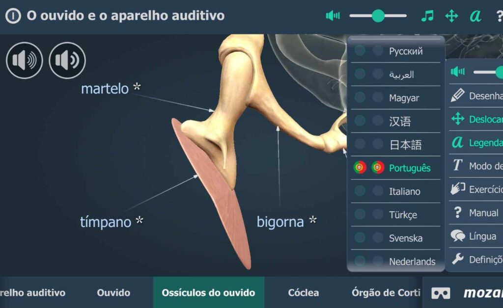 Estudar o aparelho auditivo