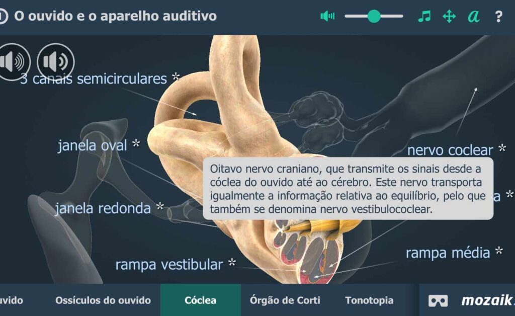 Estudar o aparelho auditivo