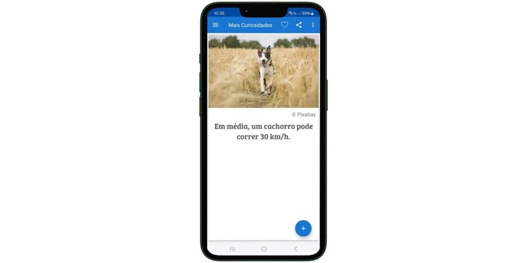 Curiosidades sobre cachorros