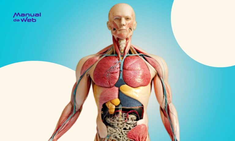 Como funciona o corpo humano