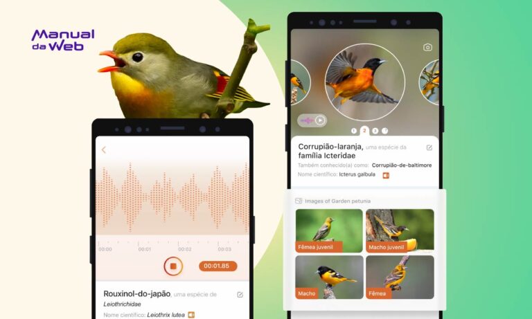 Identificar pássaros pelo som