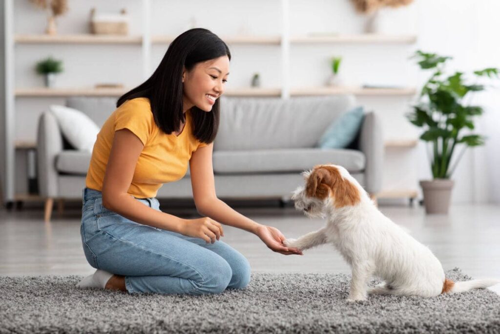 Como treinar cães em casa