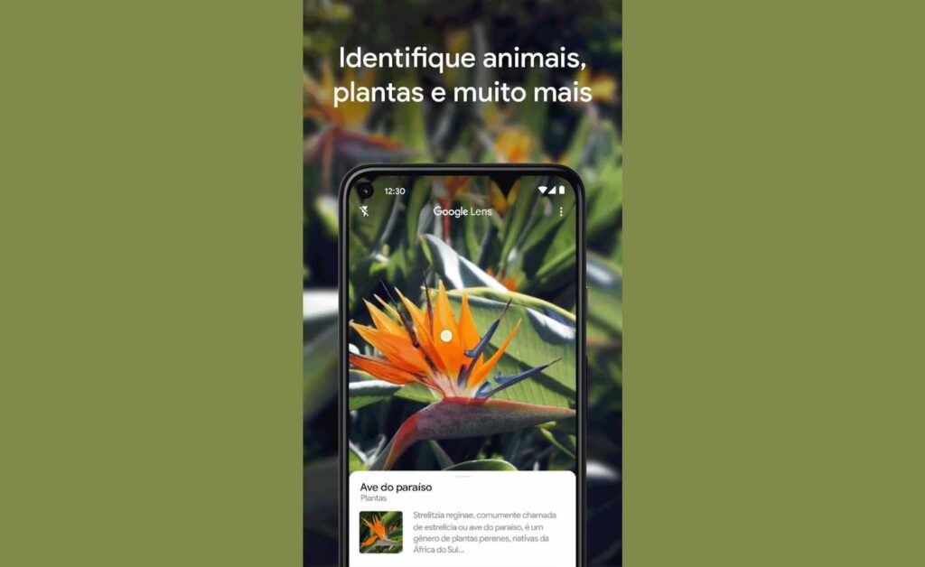 Google Lens