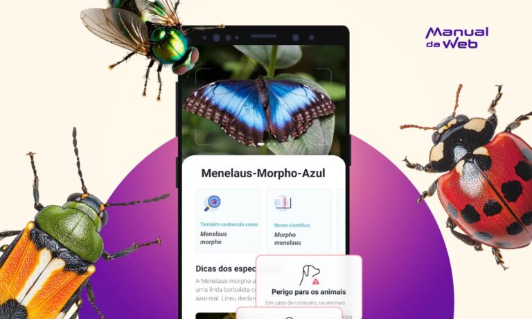Aplicativo para identificar insetos