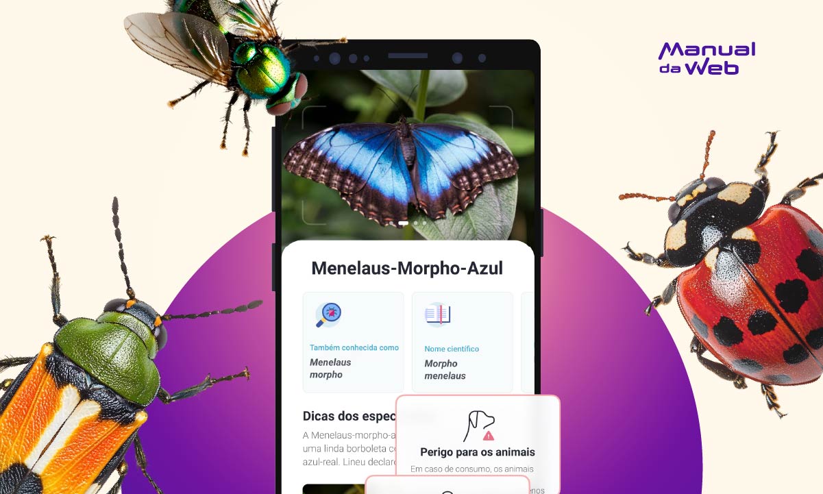 Aplicativo para identificar insetos rápido pelo celular