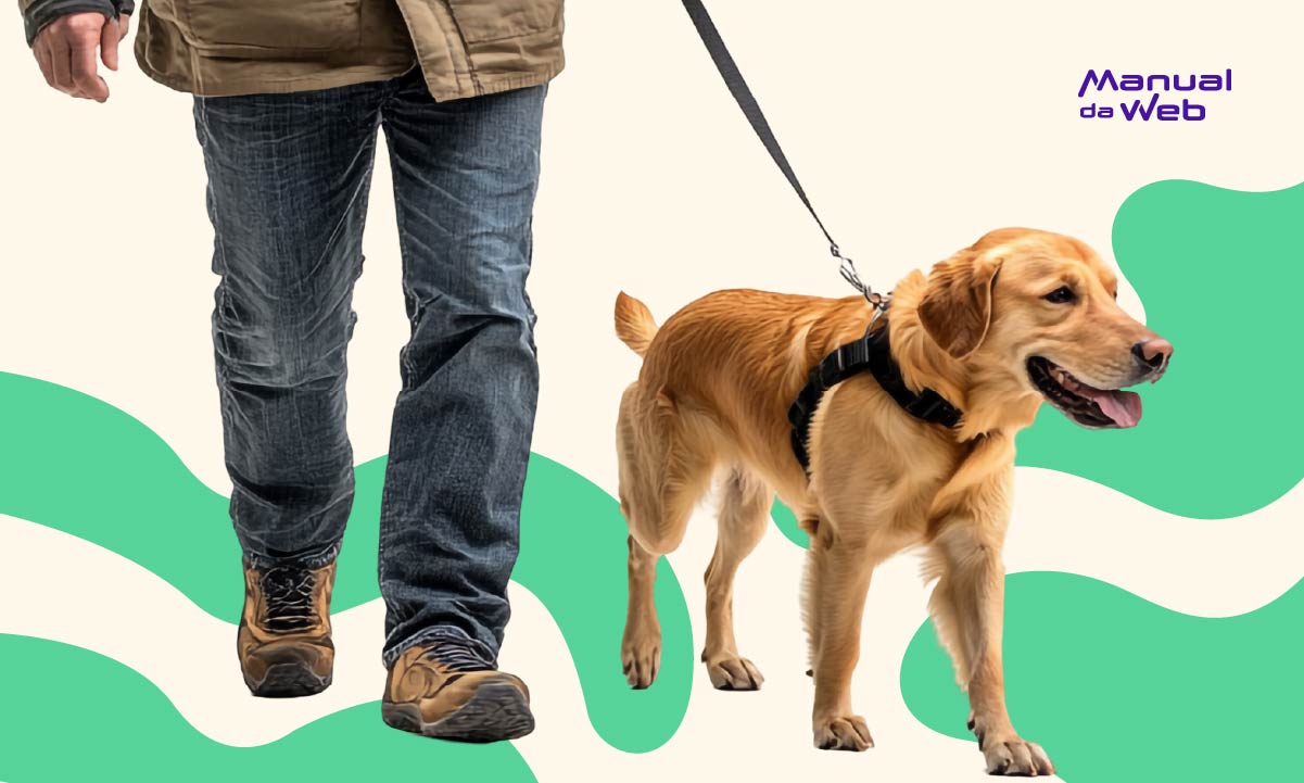 DogPack: encontre parques e serviços para cachorros próximos a você