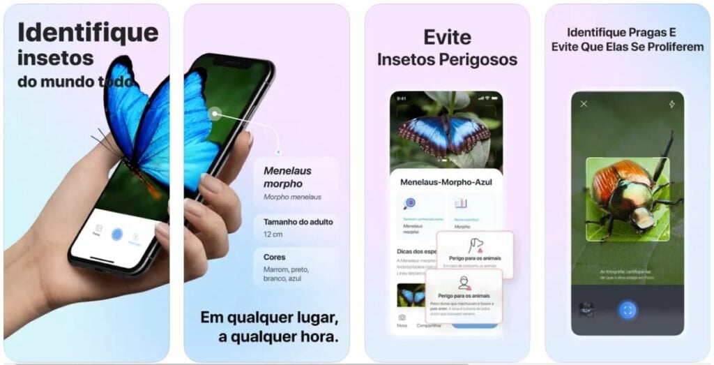 Aplicativo para identificar insetos