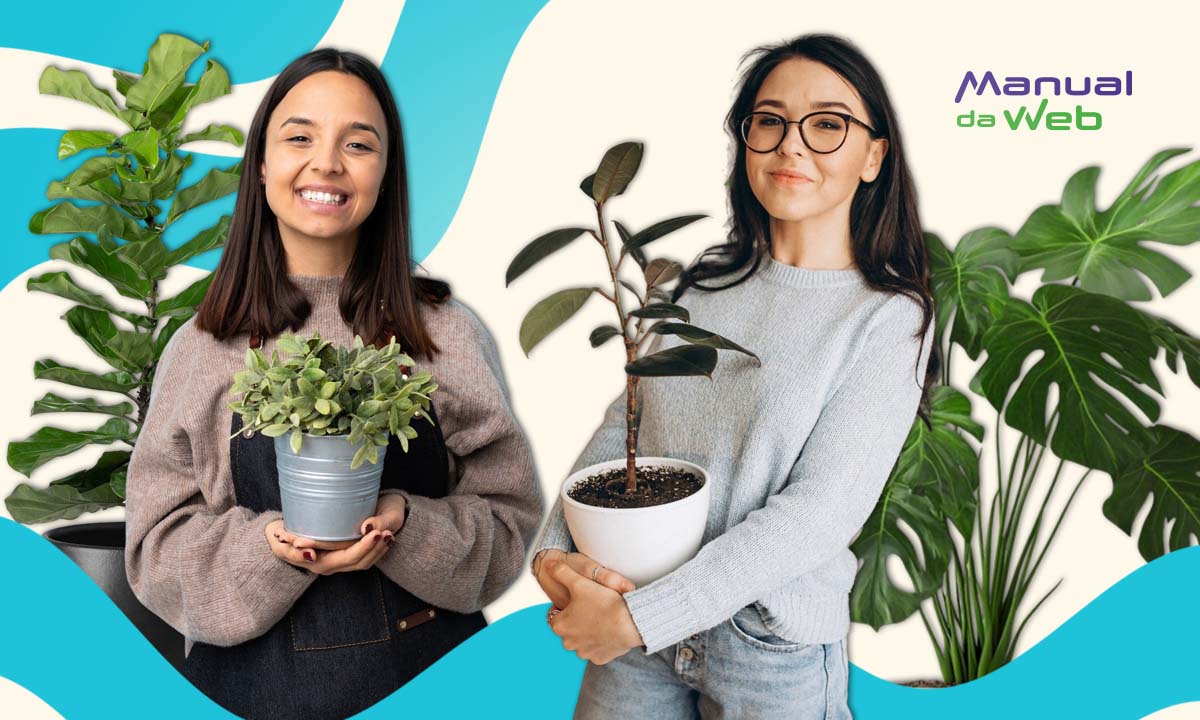 Apps para jardineiros iniciantes: cuide melhor das suas plantas