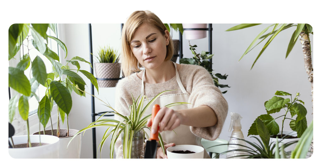 Apps para jardineiros iniciantes: cuide melhor das suas plantas 8 Corpo5 Apps para jardineiros iniciantes cuide melhor das suas plantas