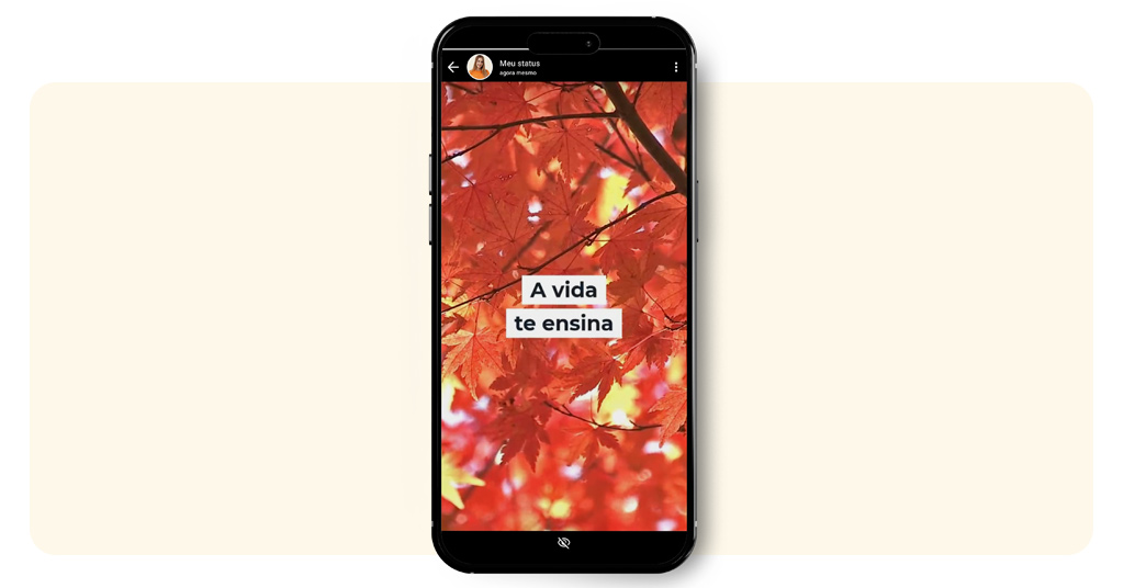 Vídeos para status do WhatsApp