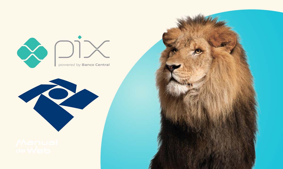 Como receber a restituição do Imposto de Renda por Pix