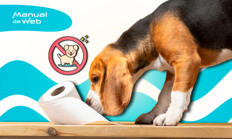 Cachorro fazendo xixi no lugar errado