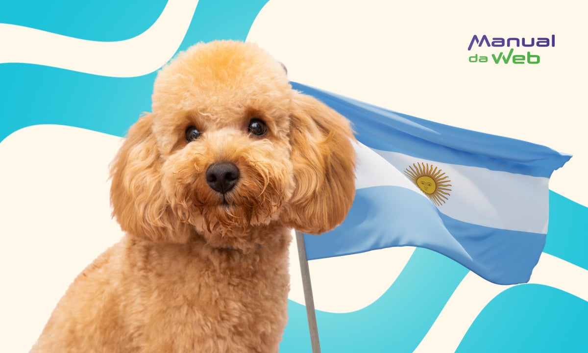 CVI Argentina: como solicitar o certificado de viagem para pet