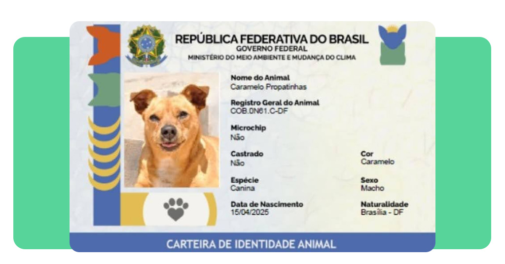 Programa SinPatinhas