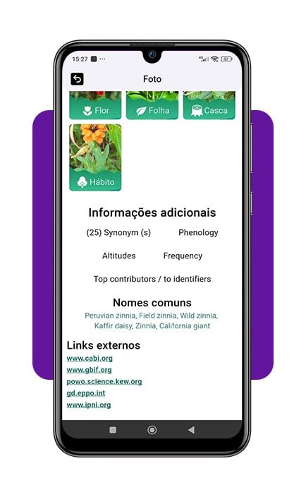 Aplicativo para identificar flores com IA tirando apenas uma foto 4 Aplicativo para identificar flores