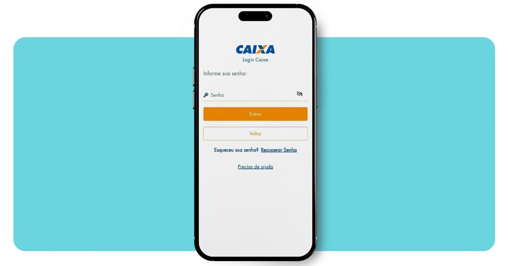 Passo a passo para consultar o saldo do Bolsa Família online 5 Consultar o saldo do Bolsa Família