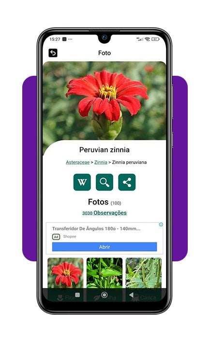 Aplicativo para identificar flores com IA tirando apenas uma foto 5 Aplicativo para identificar flores