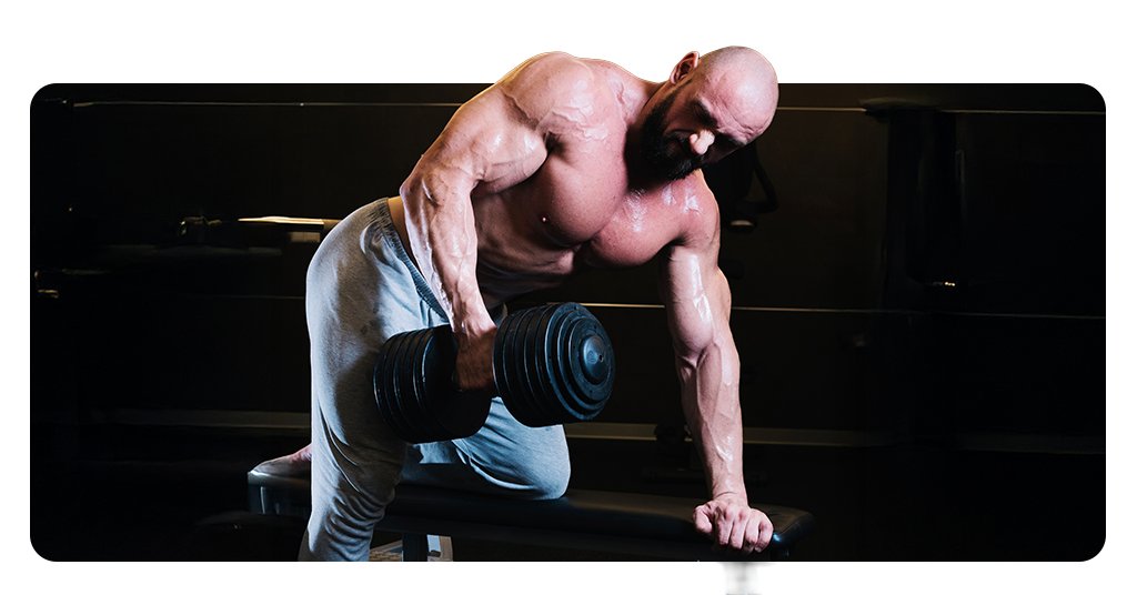 Treino de academia gratuito do iniciante ao avançado 7 Treino de academia