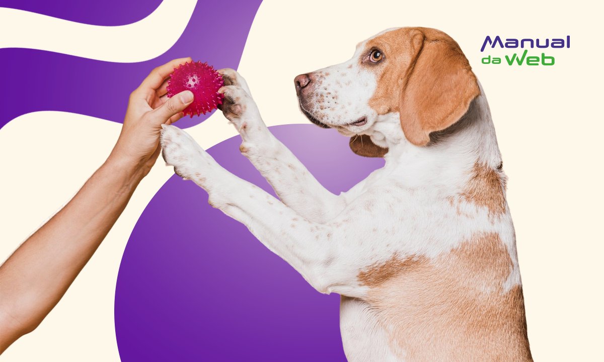 Como adestrar um cachorro? Confira este app com instruções em vídeo