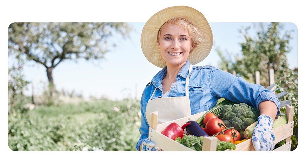 Aplicativos para produtor rural que ajudam do campo ao negócio 5 Aplicativos para produtor rural