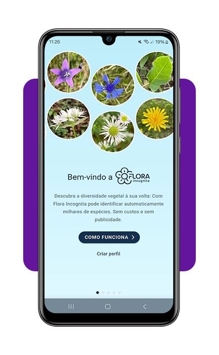 Identifique plantas com a câmera do celular com este app 3 Identifique plantas com a câmera