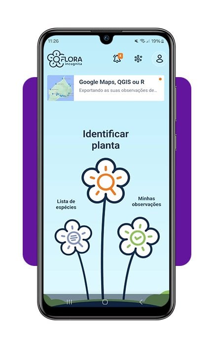 Identifique plantas com a câmera do celular com este app 4 Identifique plantas com a câmera