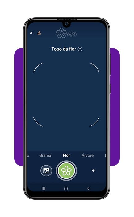 Identifique plantas com a câmera do celular com este app 5 Identifique plantas com a câmera