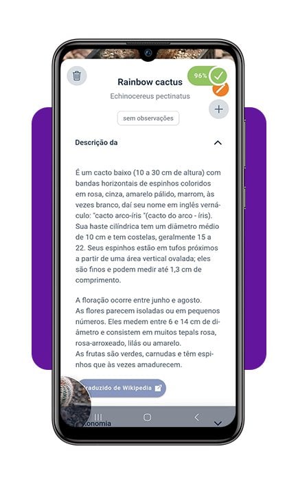 Identifique plantas com a câmera do celular com este app 8 Identifique plantas com a câmera