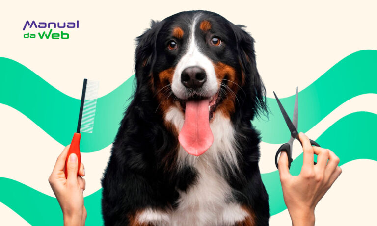 Curso de banho e tosa