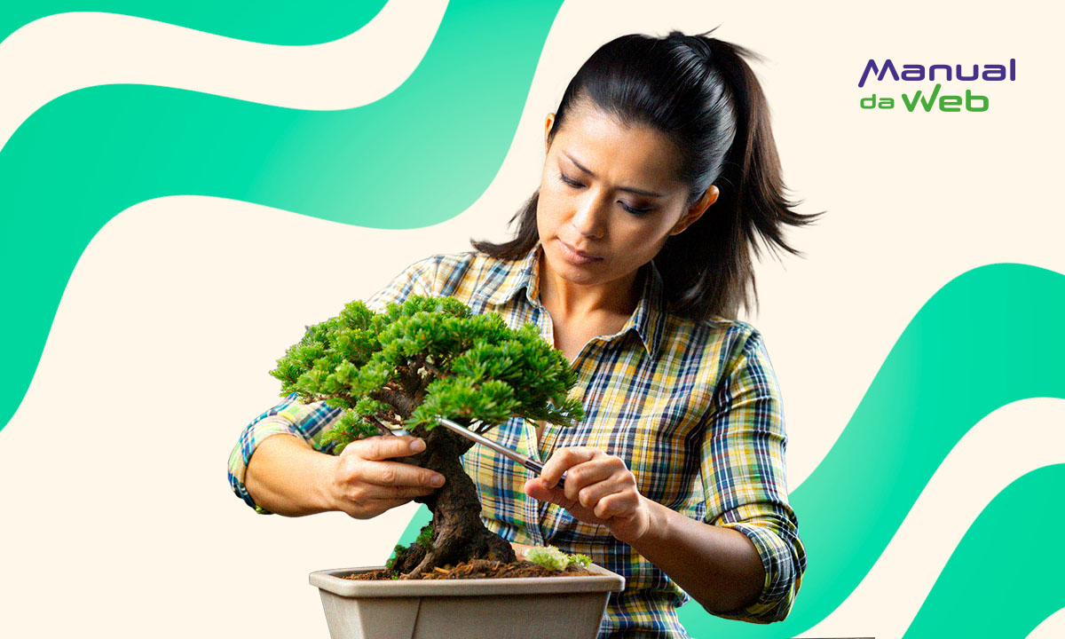 Plantify: app gratuito de jardinagem para cuidar de plantas em casa