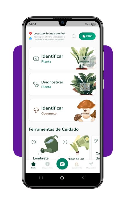 Cuidar de plantas em casa
